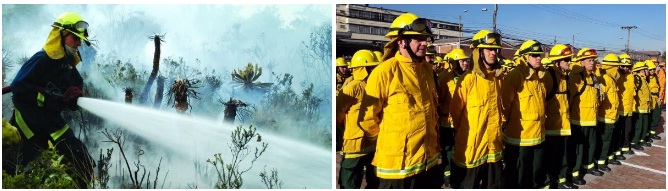 Colombia activa un plan para apoyar extinción de incendios en Chile