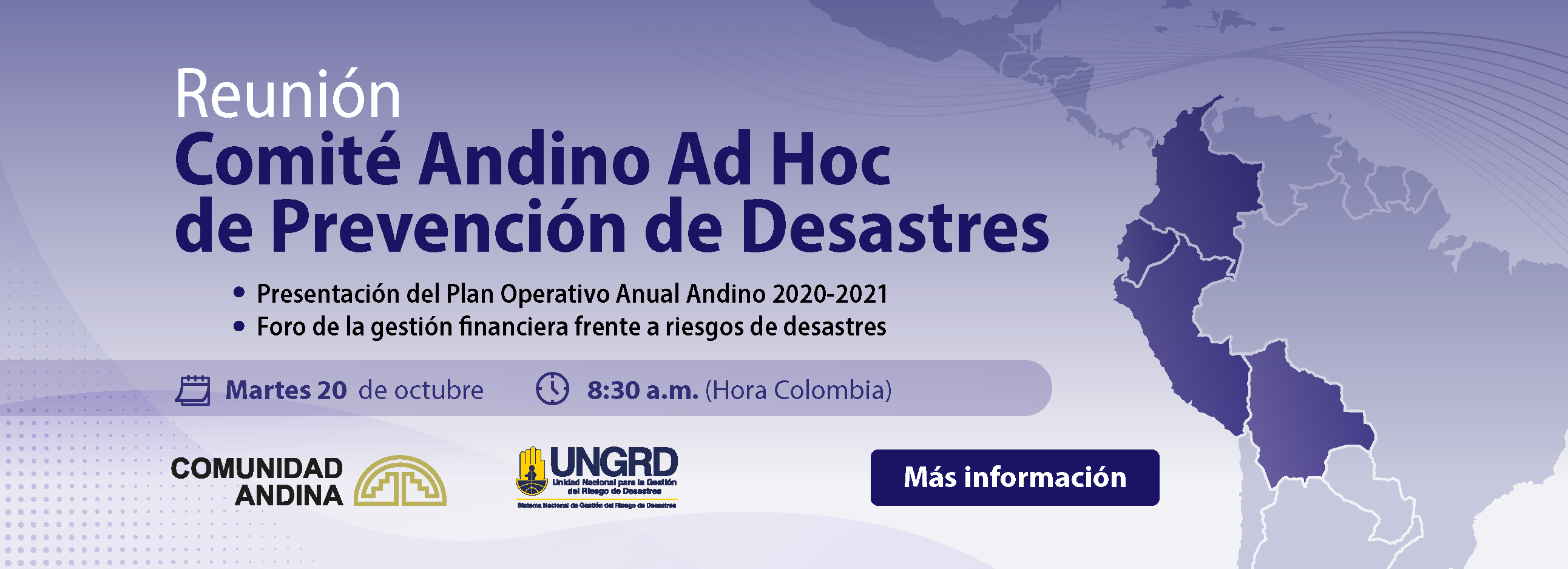Comité Andino Ad Hoc de Prevención de Desastres 2020.