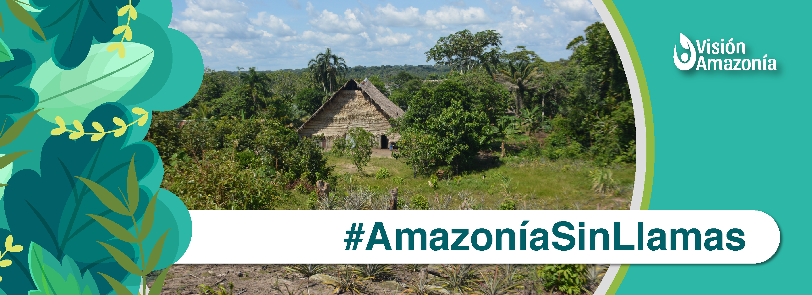 Amazonía sin llamas.