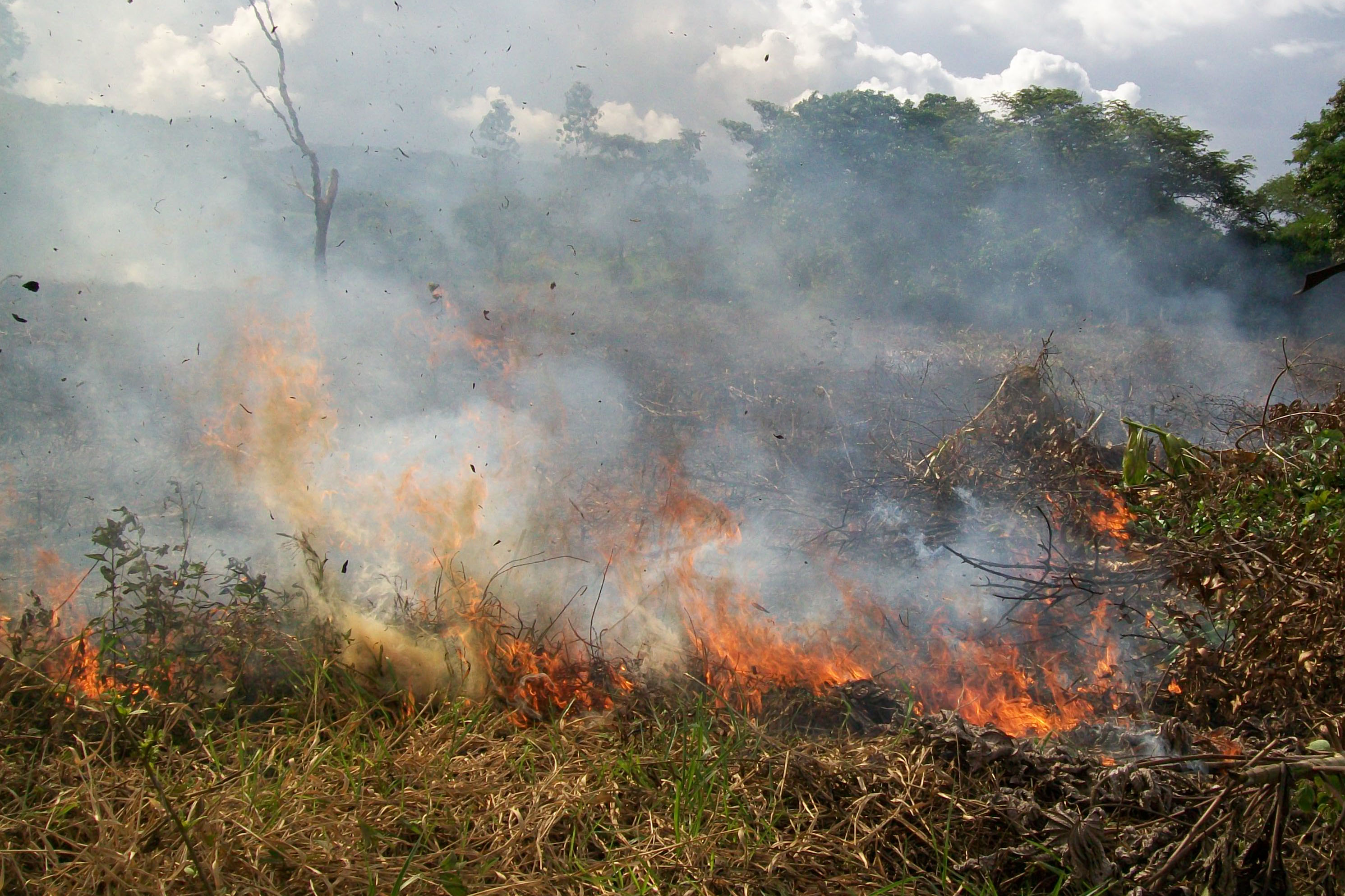 Páramos, los principales afectados de los incendios forestales en los últimos días