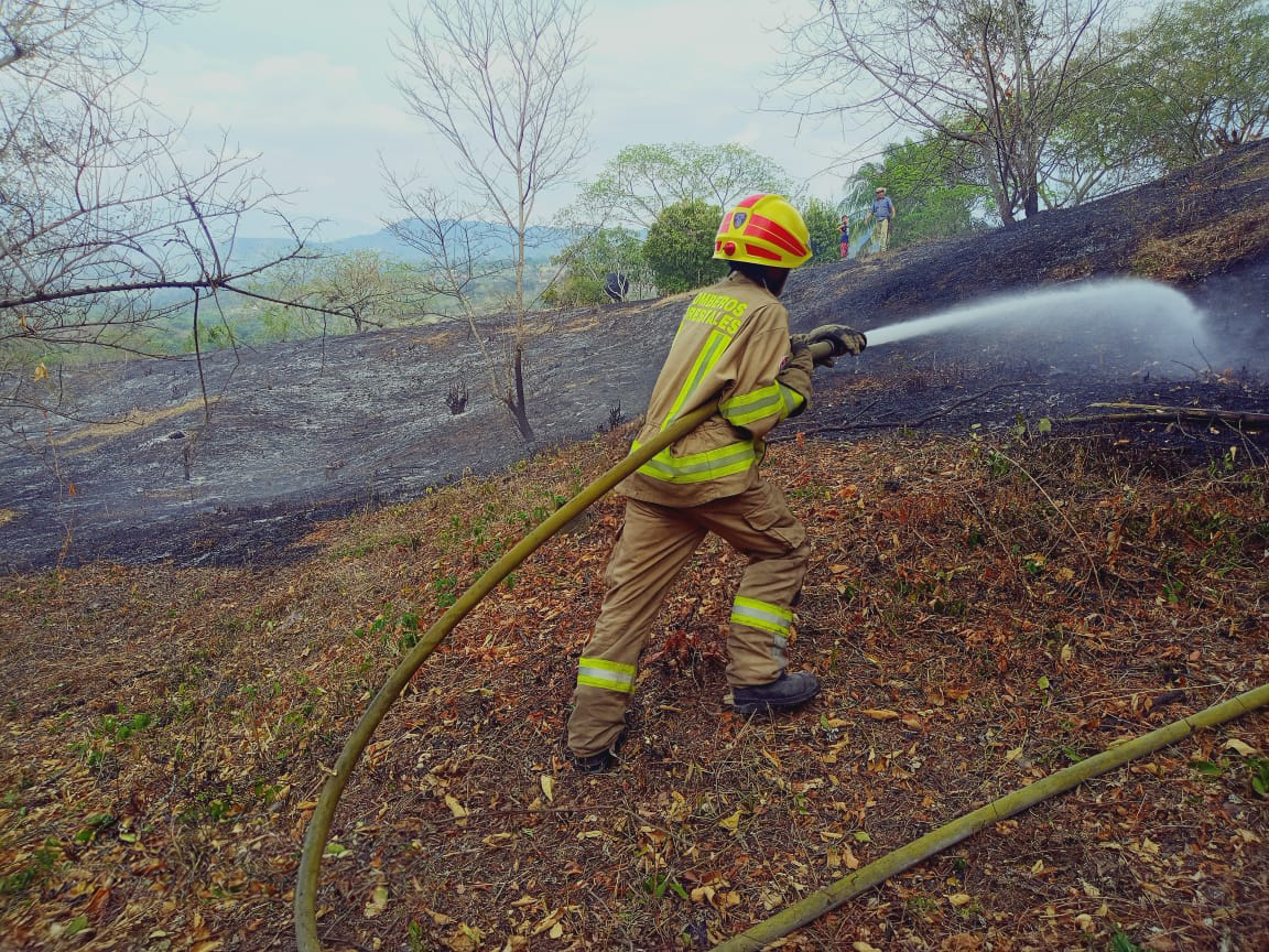 Incendios en Huila y Tolima: Neiva y Campoalegre controlados, Palermo y Natagaima en situación crítica