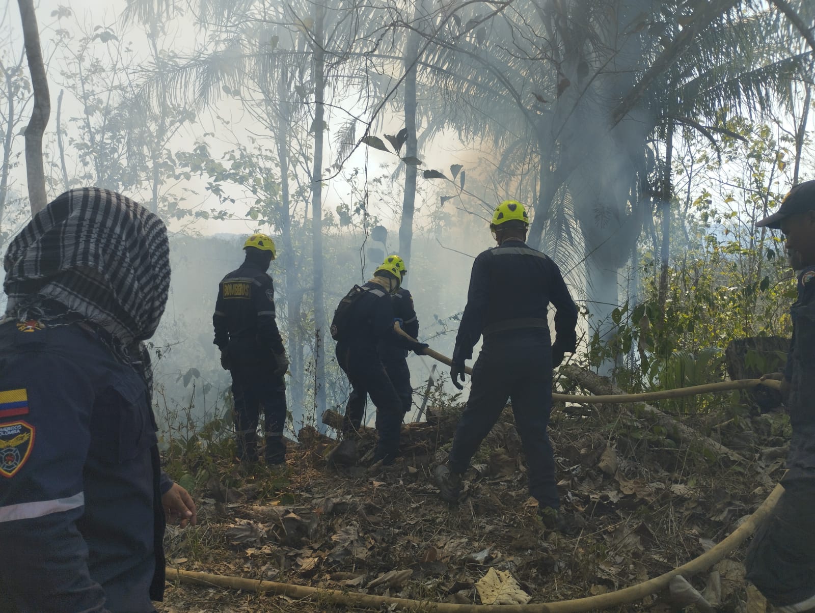 Autoridades logran controlar el incendio forestal que afectó a San Onofre, Sucre
