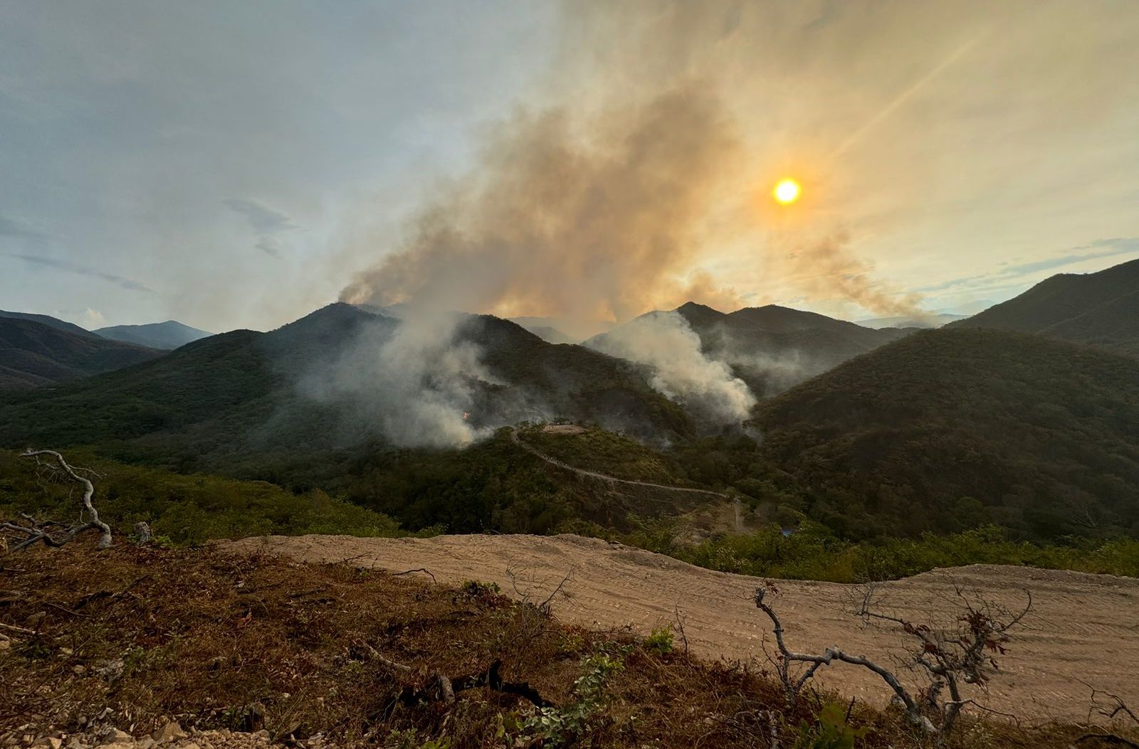 Incendios forestales afectan a cinco departamentos de Colombia