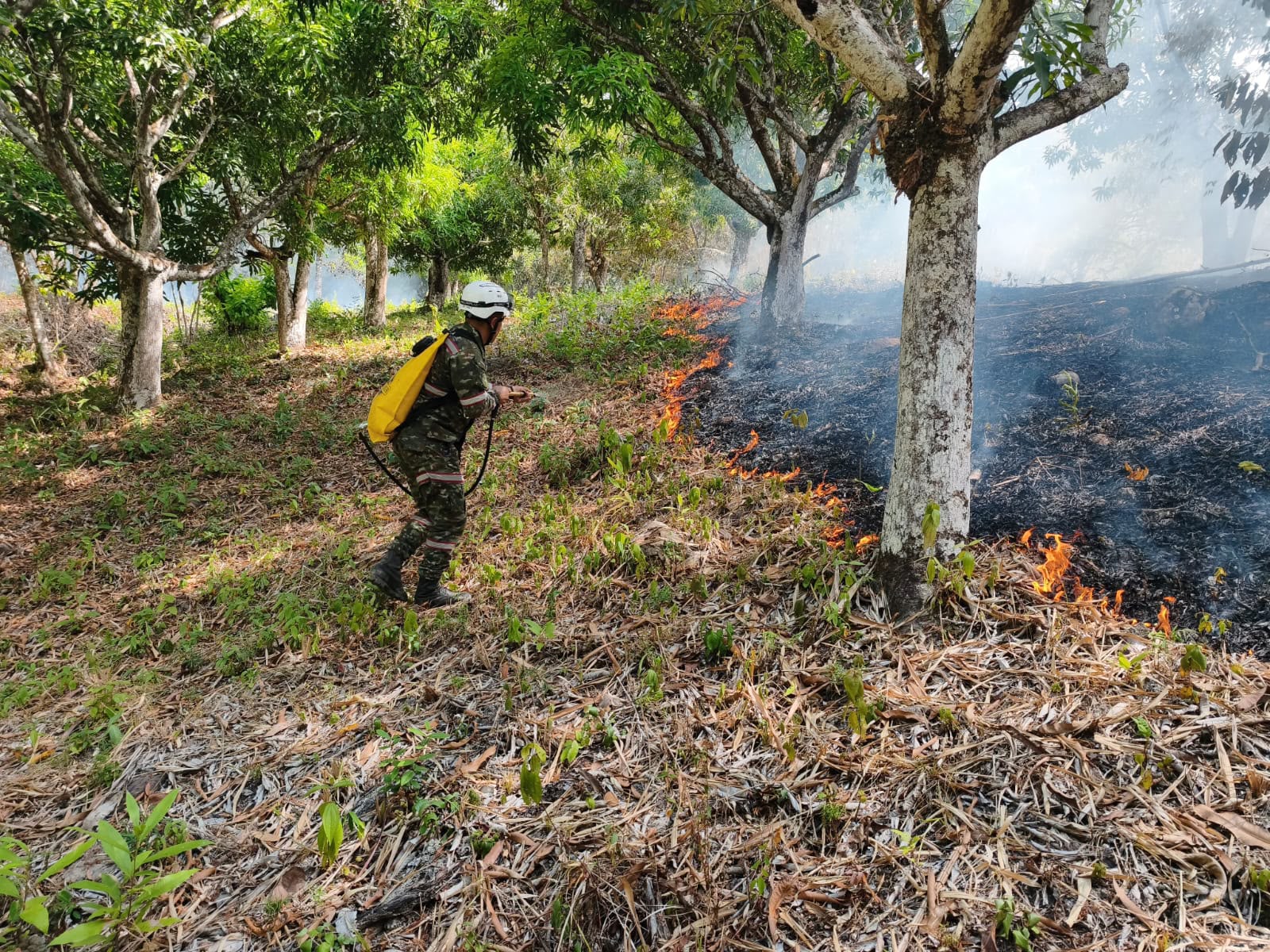 UNGRD destina $4.000 millones para reforzar la respuesta a los incendios forestales en Tolima